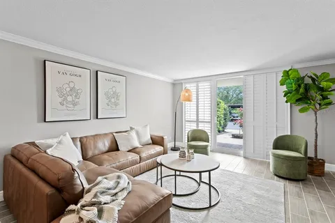 a living room with furniture and a potted plant