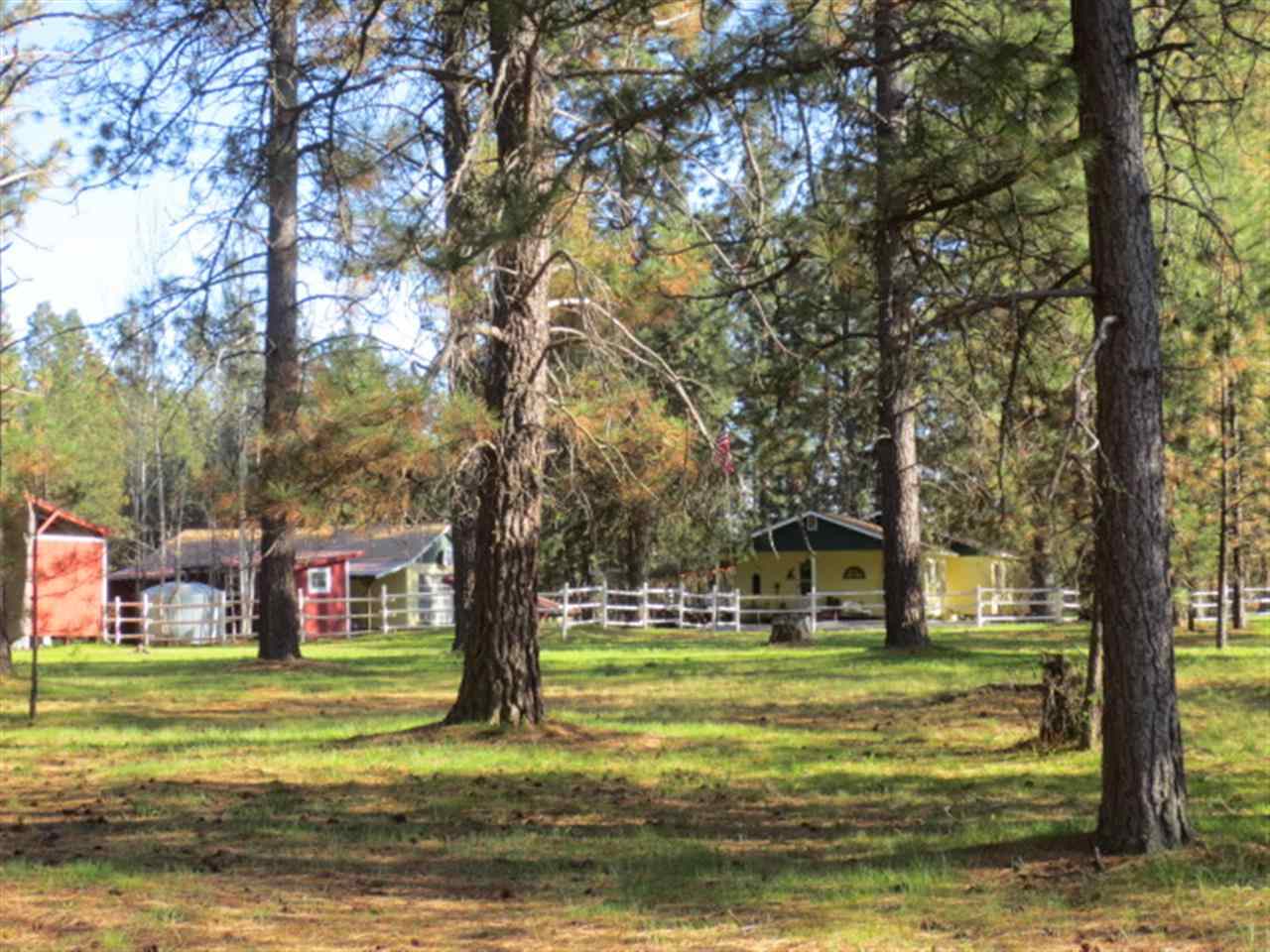 28604 North Bruce Road Chattaroy, WA 99003 - Photo 20 of 20