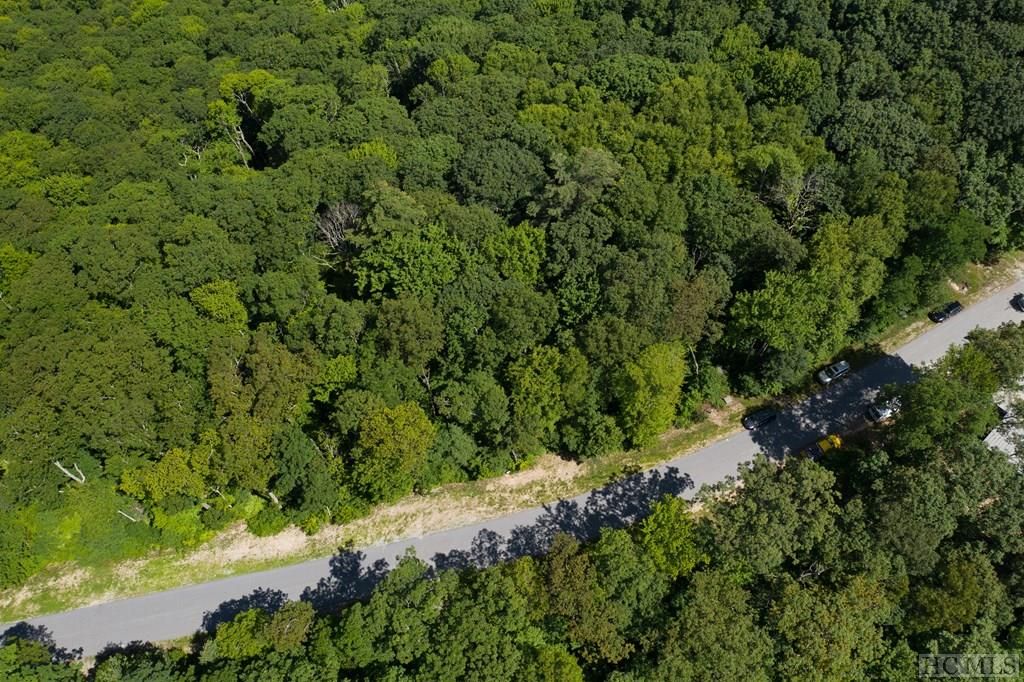 Lot 6 East Ridge Road Cashiers, NC 28717 - Photo 9 of 28 Gallery Image 9