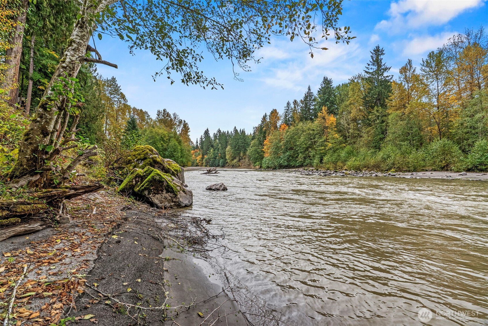 1703 Tower Road Castle Rock, WA 98611 - Photo 23 of 38 a view of a dry yard with trees