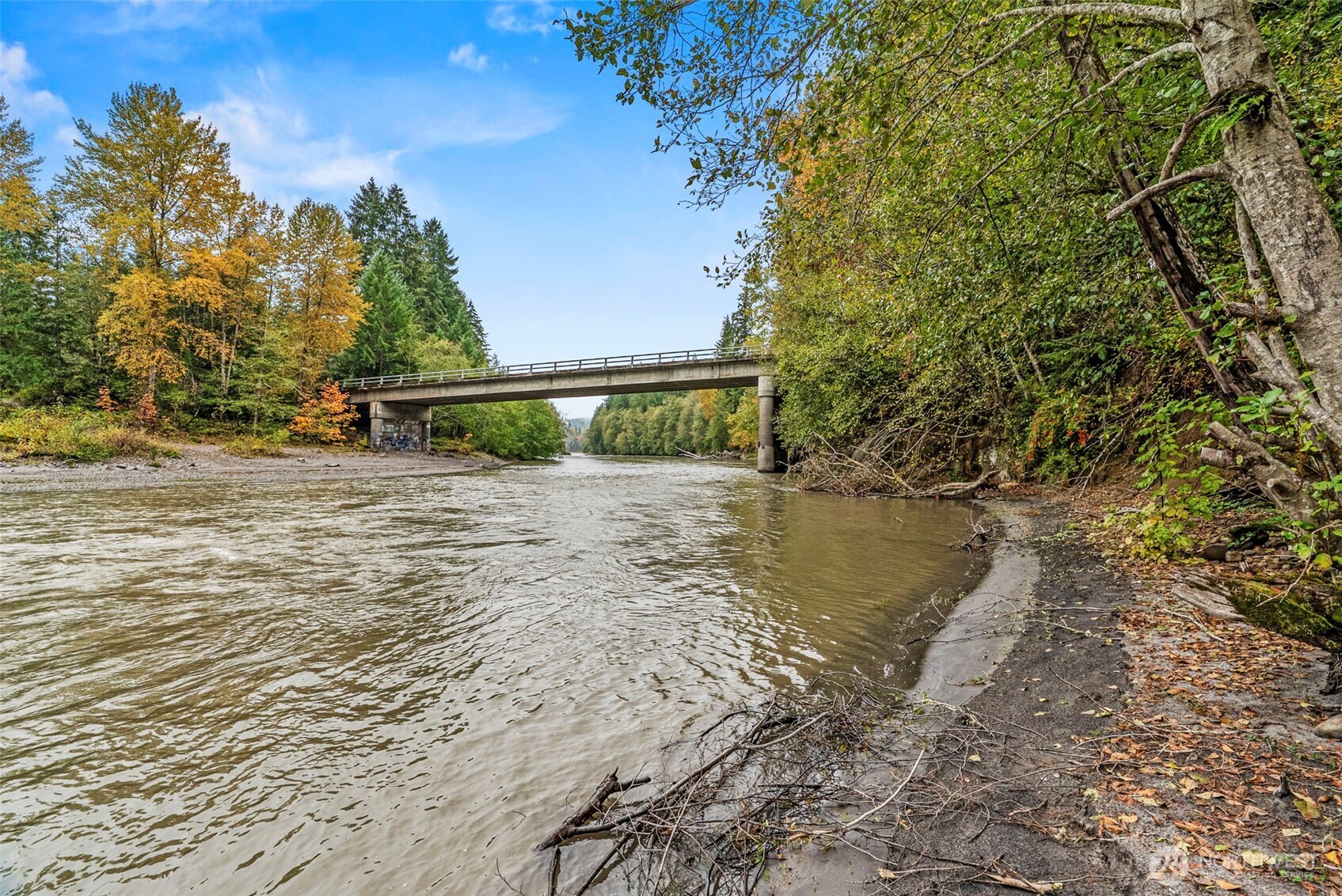 1703 Tower Road Castle Rock, WA 98611 - Photo 4 of 38