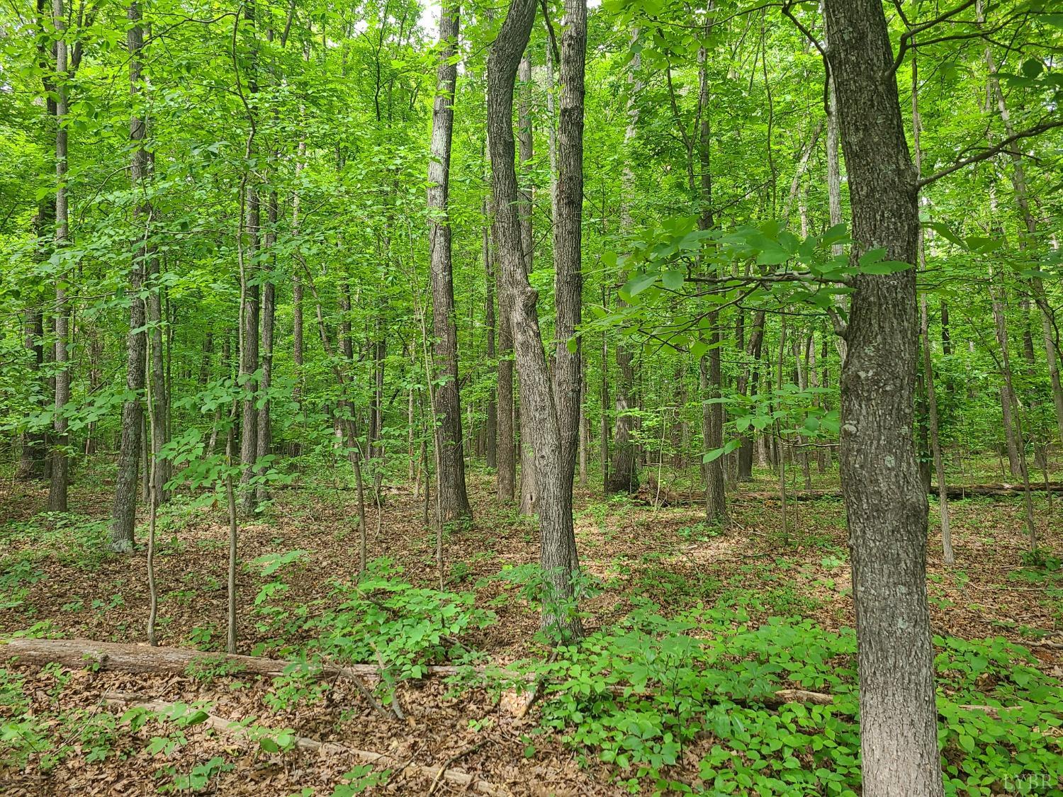 a view of outdoor space and green space