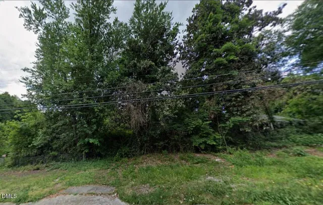 a view of a lush green forest