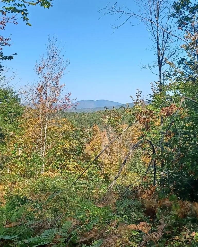 8 Wakefield North Road Wolfeboro, NH 03894 - Photo 1 of 3