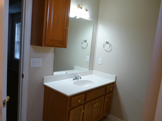 5538 Hunters Point Pike Lebanon, TN 37087 - Photo 9 of 20 a bathroom with a sink and a mirror
