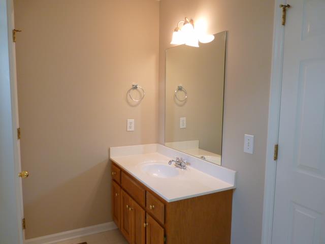 5538 Hunters Point Pike Lebanon, TN 37087 - Photo 10 of 20 a bathroom with a sink vanity and a mirror