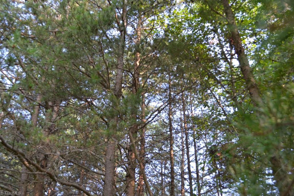 300 Kallam Mill Road Madison, NC 27025 - Photo 1 of 30