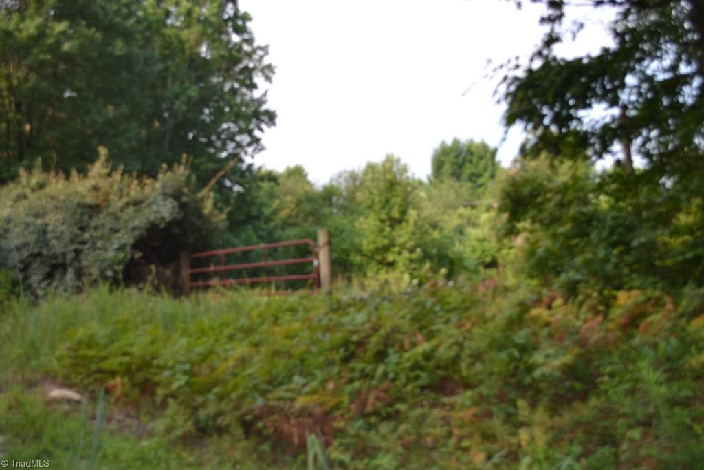 300 Kallam Mill Road Madison, NC 27025 - Photo 2 of 30