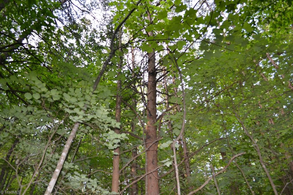 300 Kallam Mill Road Madison, NC 27025 - Photo 11 of 30