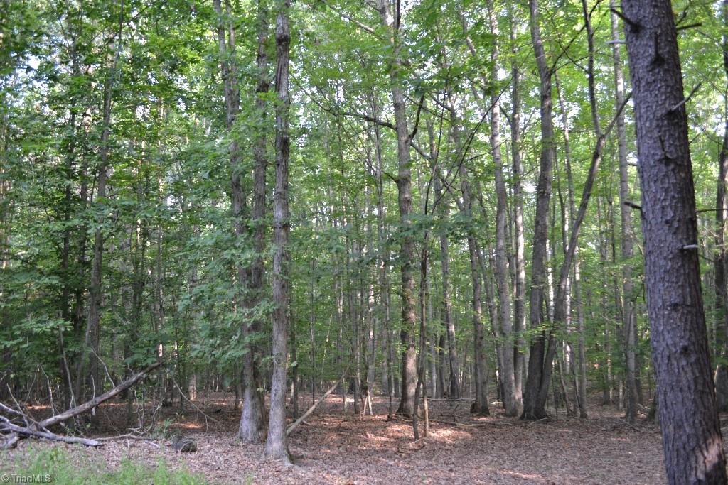300 Kallam Mill Road Madison, NC 27025 - Photo 12 of 30