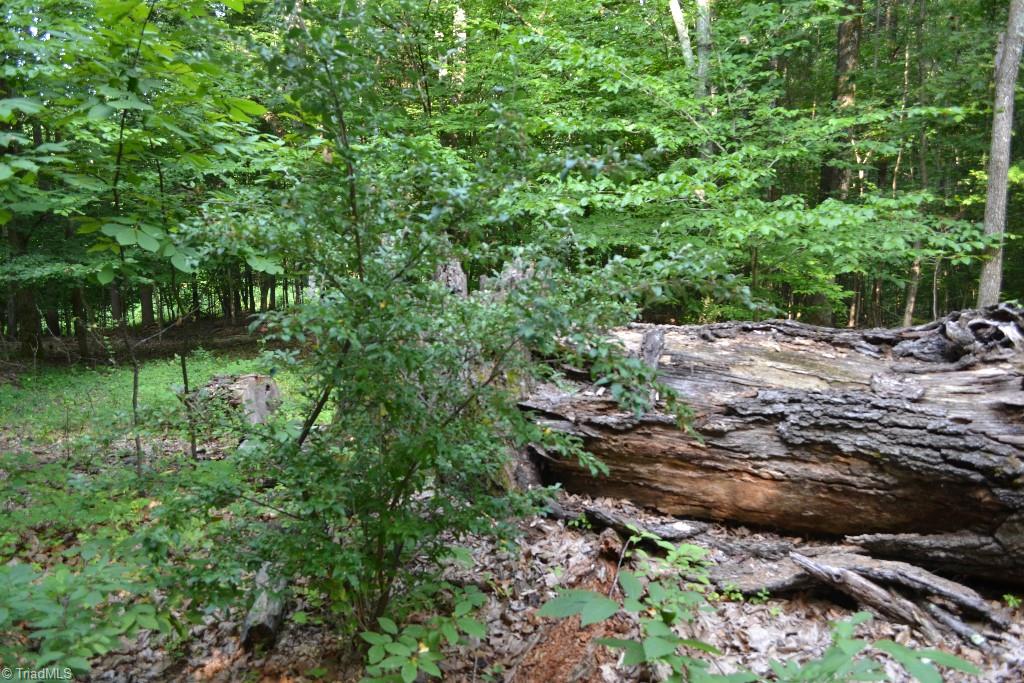 300 Kallam Mill Road Madison, NC 27025 - Photo 13 of 30