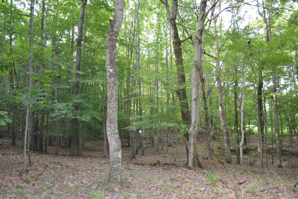 300 Kallam Mill Road Madison, NC 27025 - Photo 15 of 30