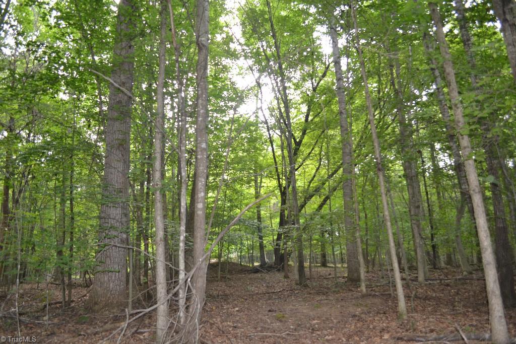 300 Kallam Mill Road Madison, NC 27025 - Photo 17 of 30