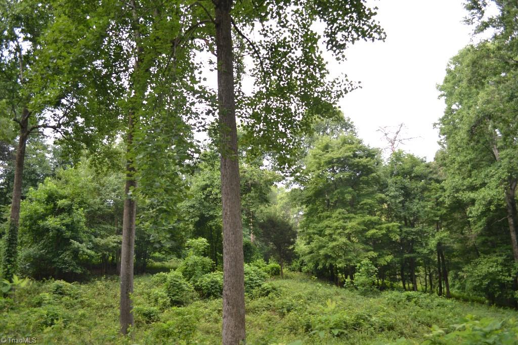 300 Kallam Mill Road Madison, NC 27025 - Photo 18 of 30