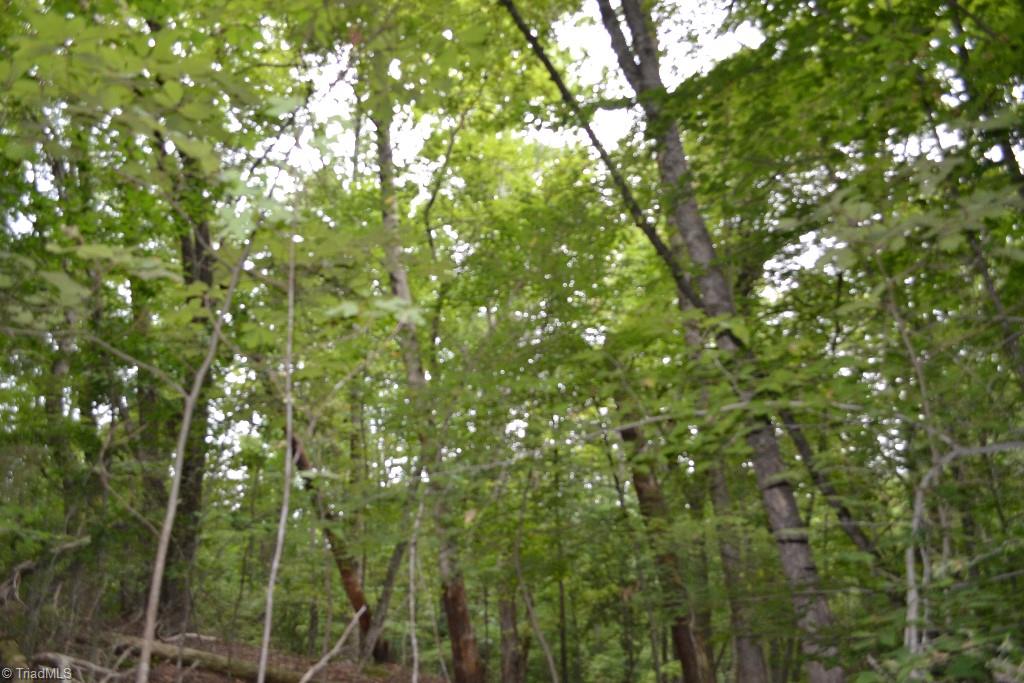 300 Kallam Mill Road Madison, NC 27025 - Photo 19 of 30