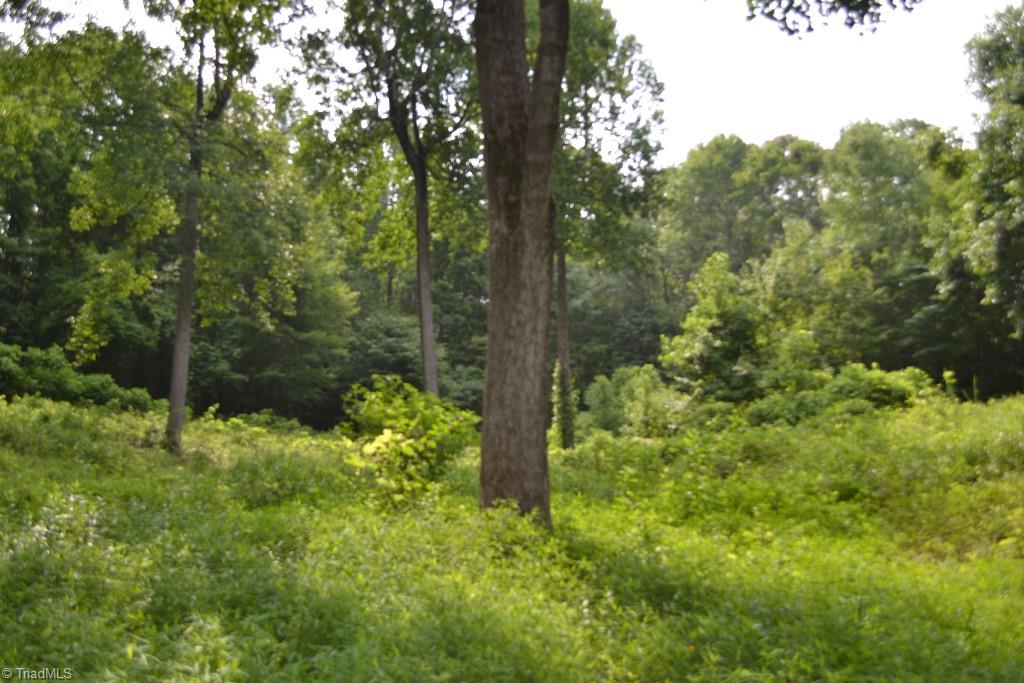 300 Kallam Mill Road Madison, NC 27025 - Photo 20 of 30