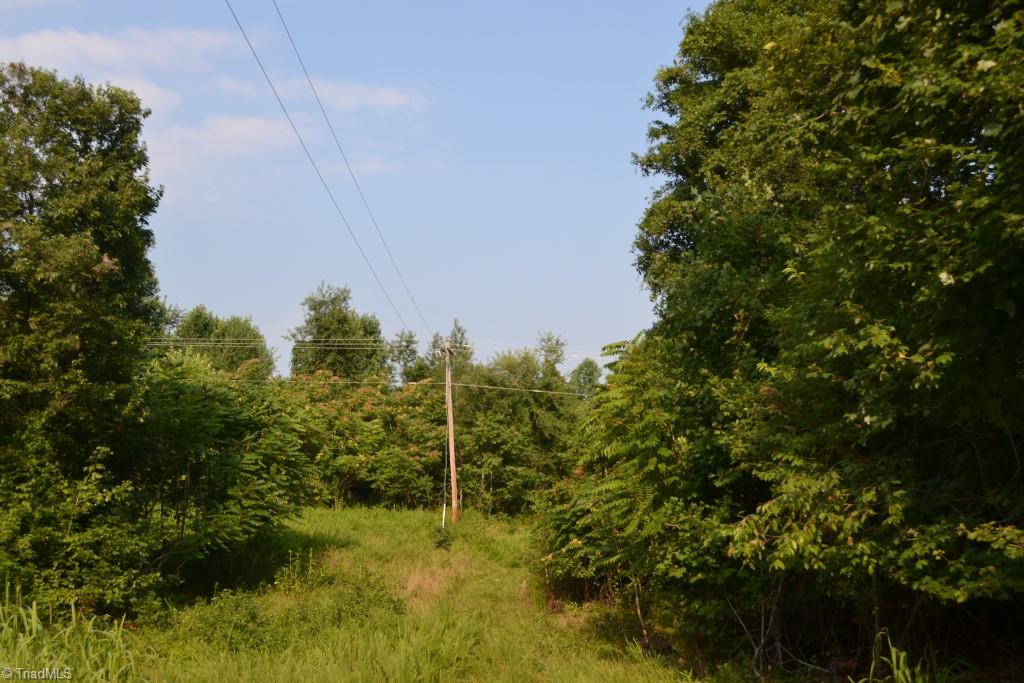 300 Kallam Mill Road Madison, NC 27025 - Photo 3 of 30