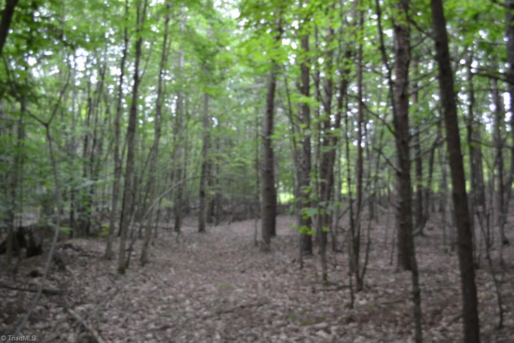 300 Kallam Mill Road Madison, NC 27025 - Photo 24 of 30