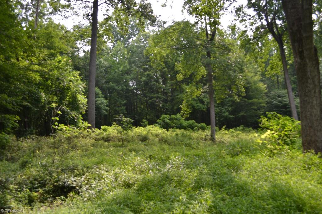 300 Kallam Mill Road Madison, NC 27025 - Photo 25 of 30