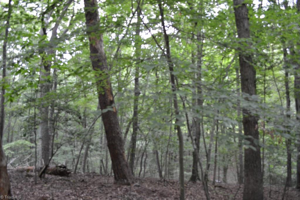 300 Kallam Mill Road Madison, NC 27025 - Photo 26 of 30