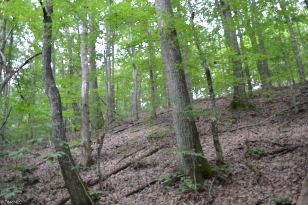 300 Kallam Mill Road Madison, NC 27025 - Photo 27 of 30