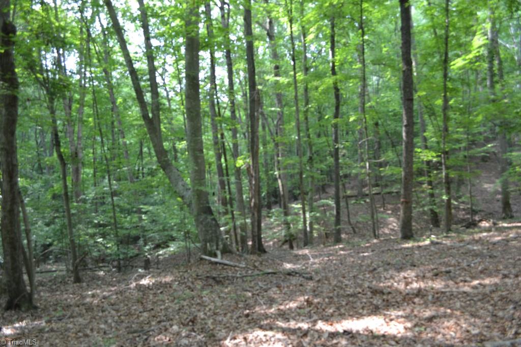 300 Kallam Mill Road Madison, NC 27025 - Photo 28 of 30