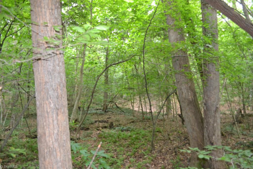 300 Kallam Mill Road Madison, NC 27025 - Photo 29 of 30
