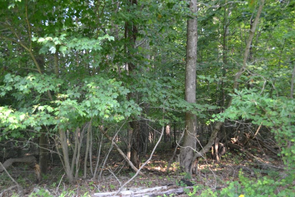300 Kallam Mill Road Madison, NC 27025 - Photo 4 of 30