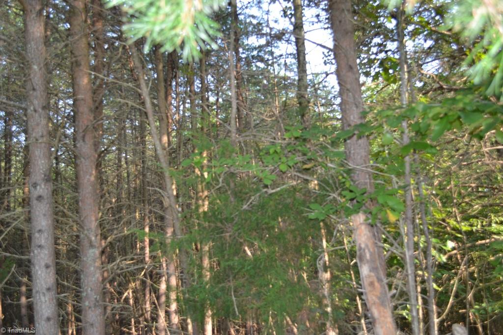 300 Kallam Mill Road Madison, NC 27025 - Photo 5 of 30