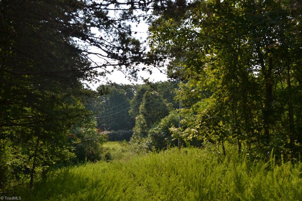 300 Kallam Mill Road Madison, NC 27025 - Photo 6 of 30