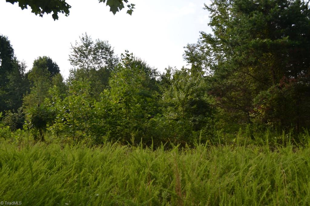 300 Kallam Mill Road Madison, NC 27025 - Photo 7 of 30