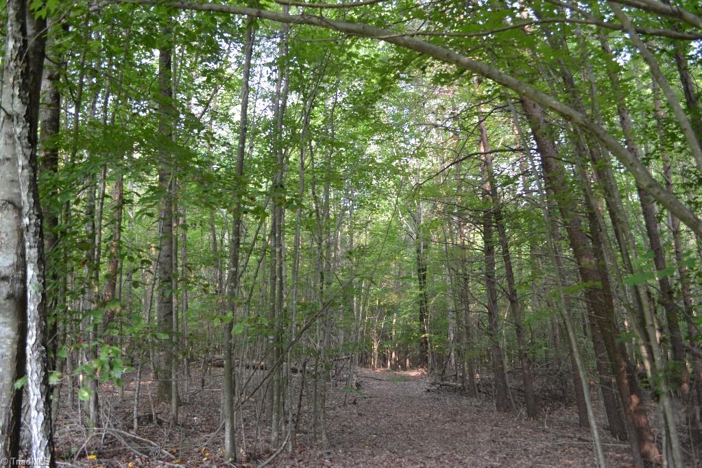 300 Kallam Mill Road Madison, NC 27025 - Photo 8 of 30