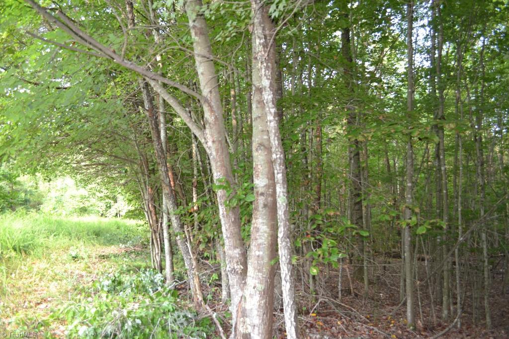 300 Kallam Mill Road Madison, NC 27025 - Photo 9 of 30