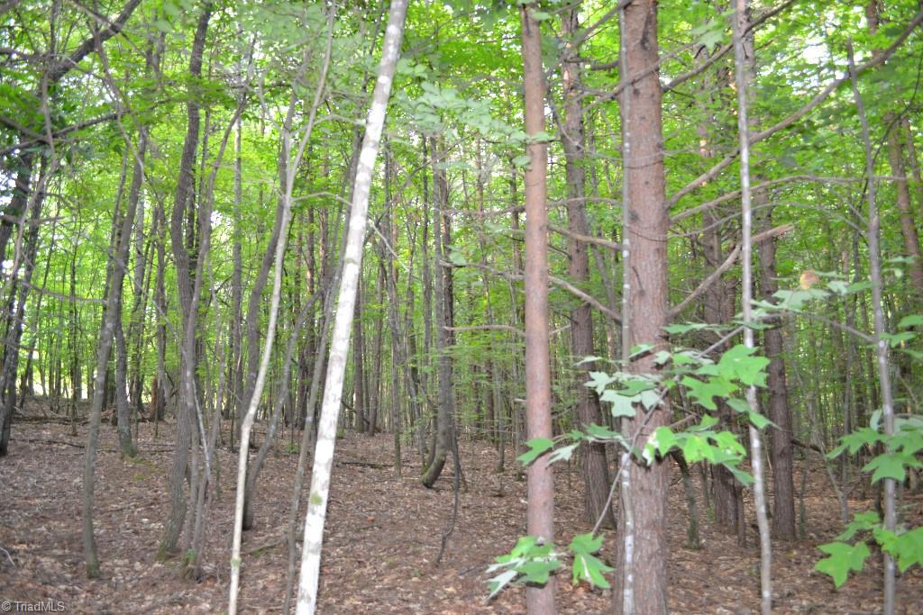 300 Kallam Mill Road Madison, NC 27025 - Photo 10 of 30