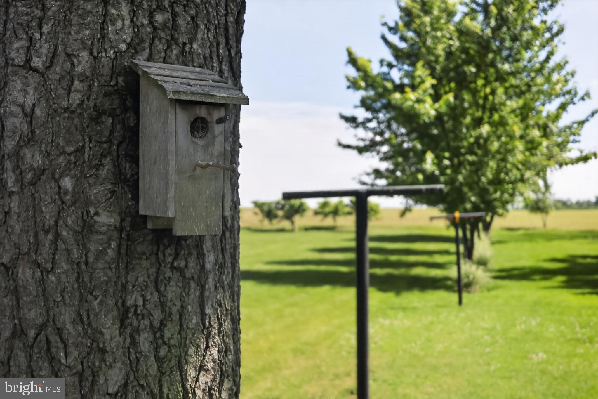 1106 Village Road Lancaster, PA 17602 - Photo 39 of 42 Charming birdhouse in serene landscape.