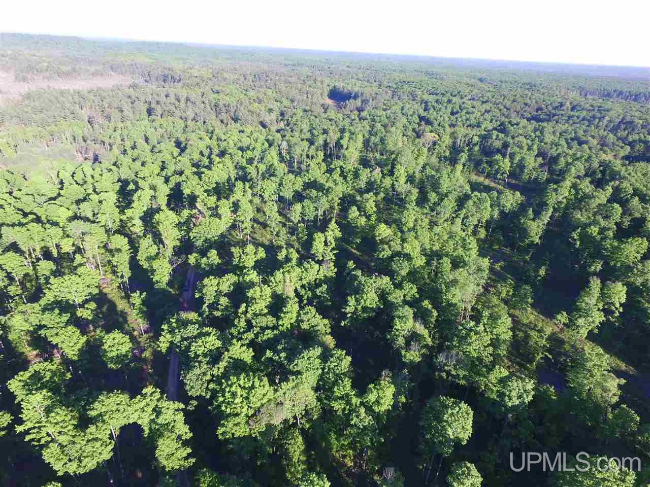 2353 Co Rd 442 Rapid River, MI 49878 - Photo 6 of 20