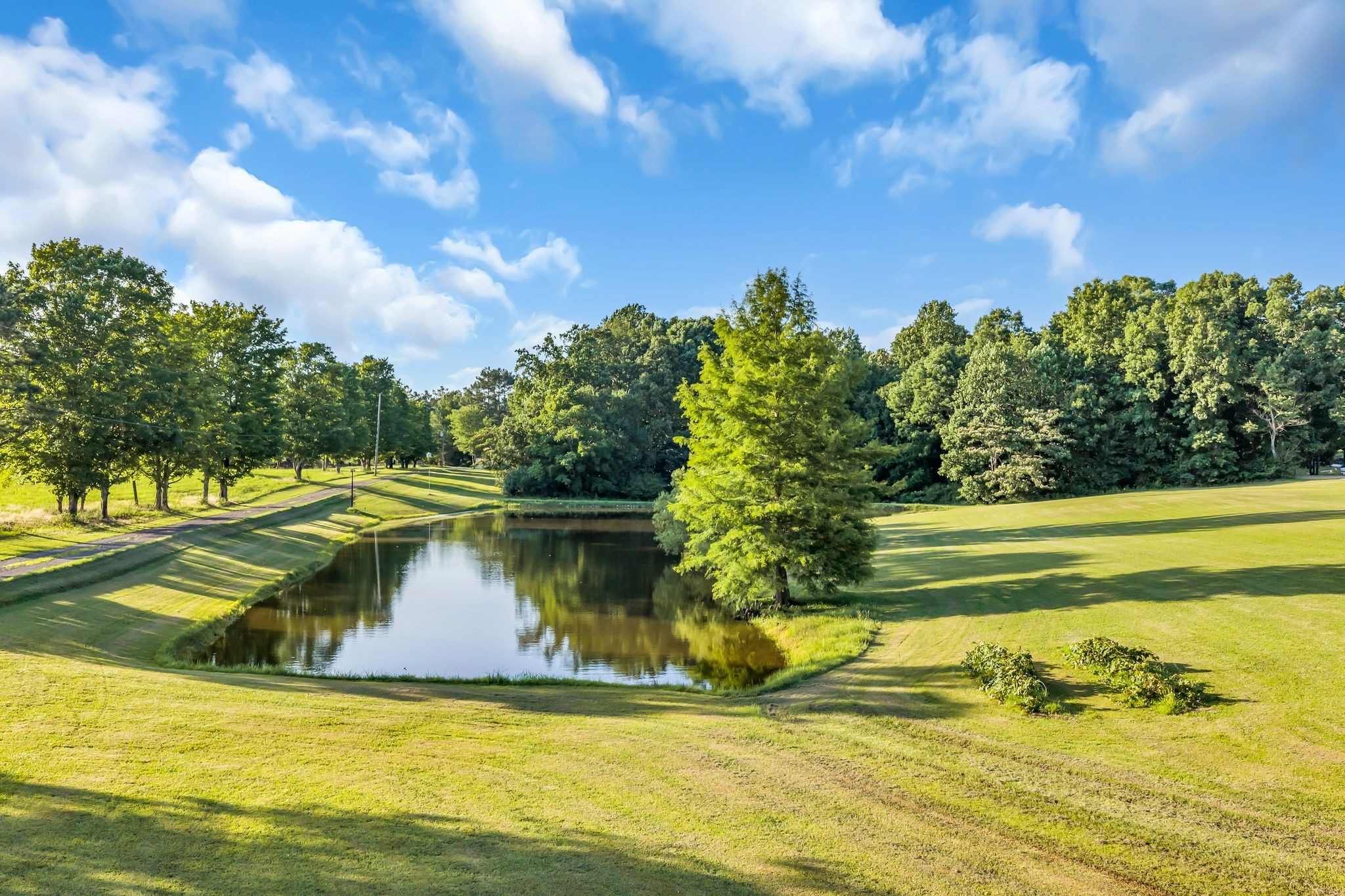 1231 Abiff Road Bon Aqua, TN 37025 - Photo 1 of 58