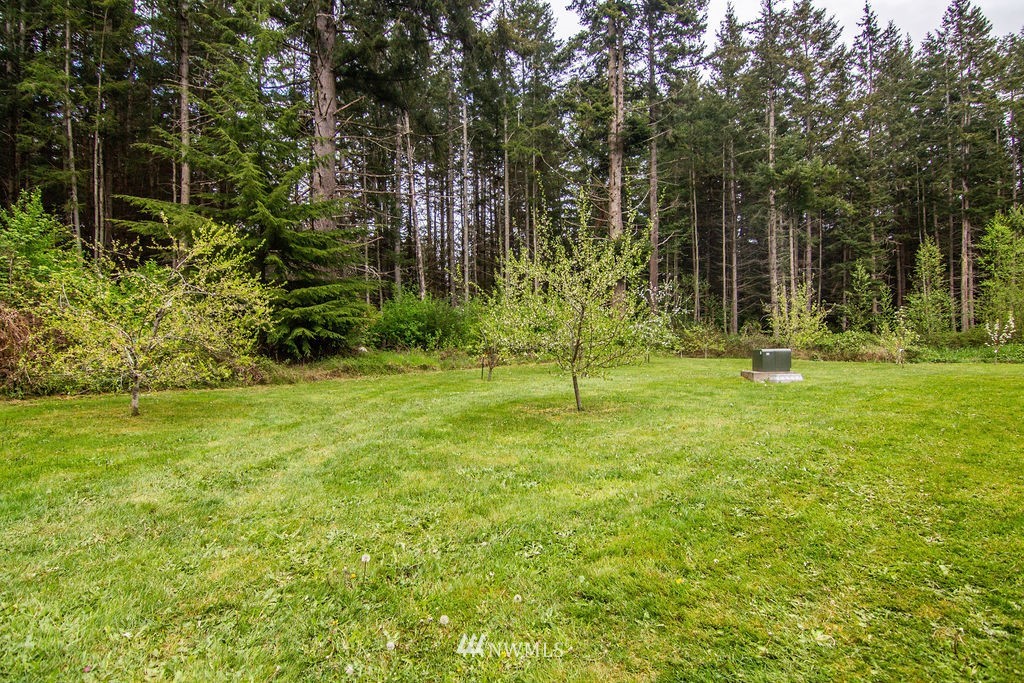 524 South Camano Ridge Road Camano Island, WA 98282 - Photo 38 of 40 Gallery Image 38
