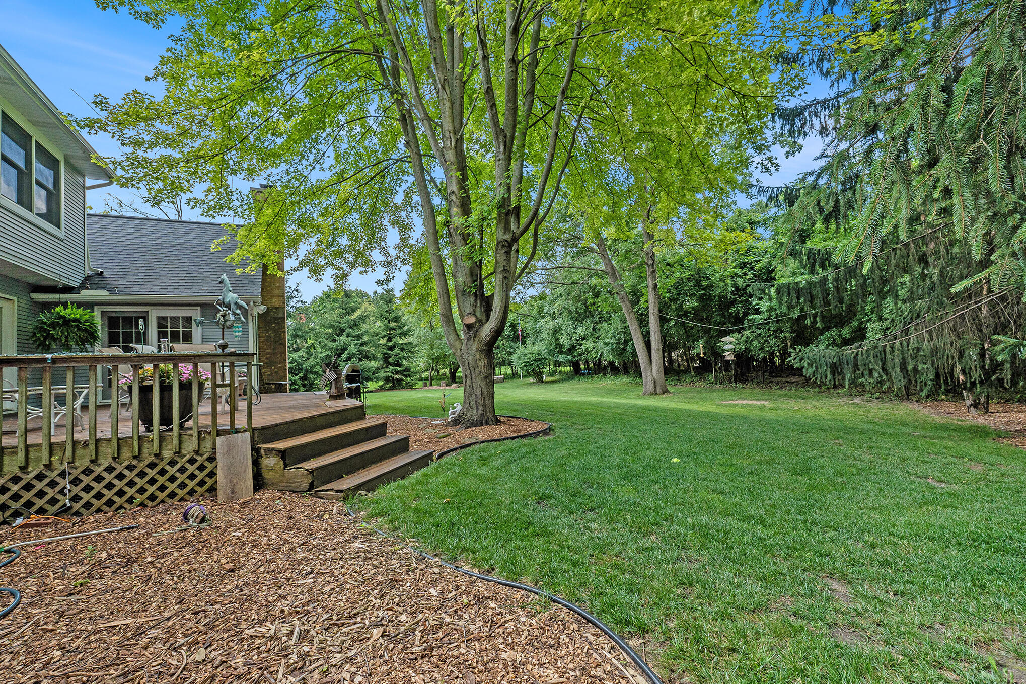 2569 Walnut Road Ann Arbor, MI 48103 - Photo 56 of 63 38.1 side yard