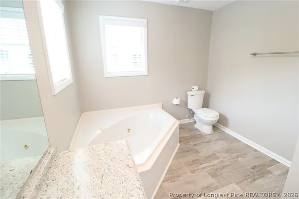 a bathroom with a sink a toilet and a bathtub