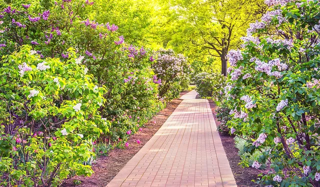 $2,500 | 310 South Main Street, Unit 208, Lombard, IL 60148