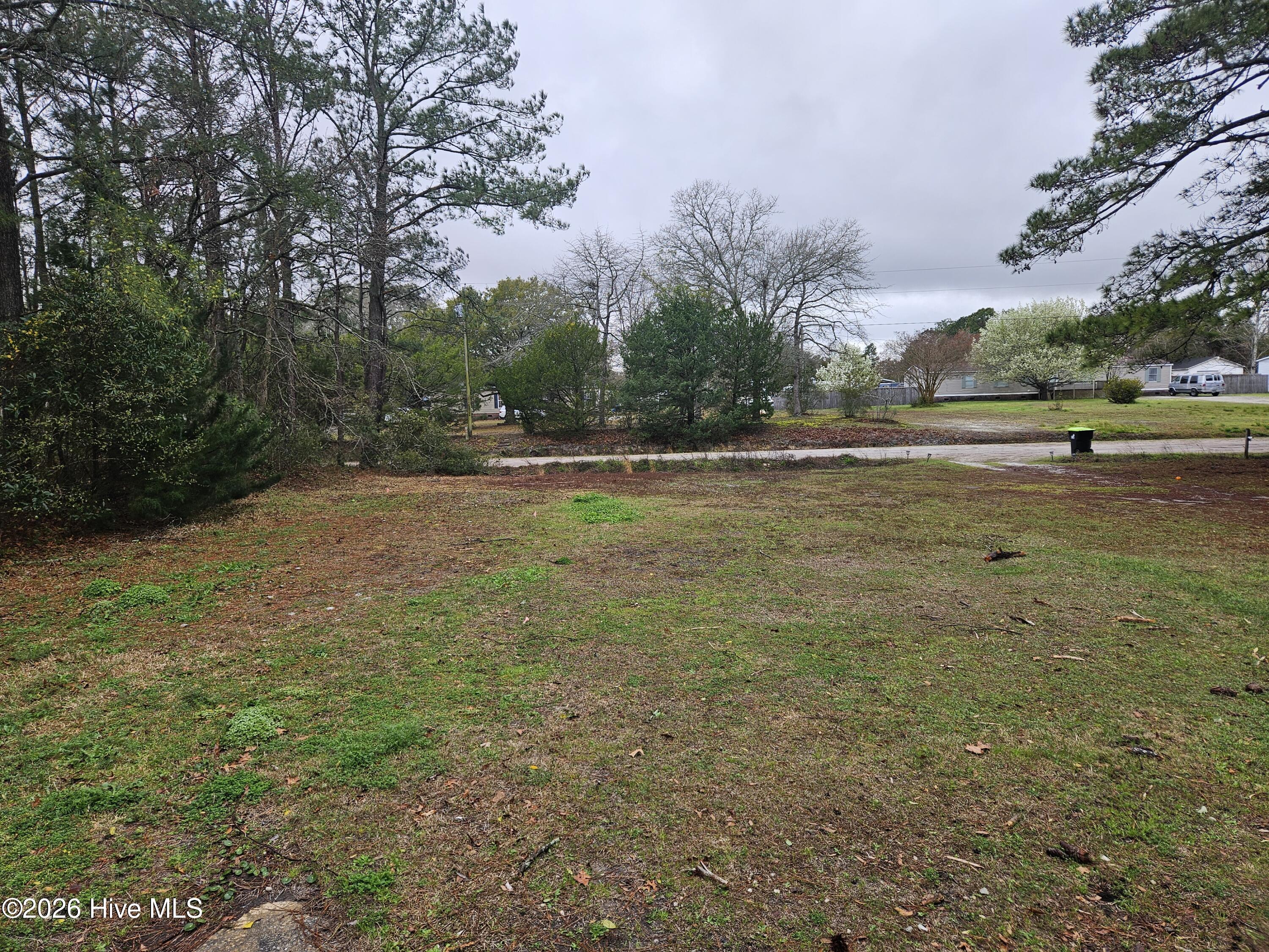 1119 CCC Road Sneads Ferry, NC 28460 - Photo 2 of 27 c1119.2