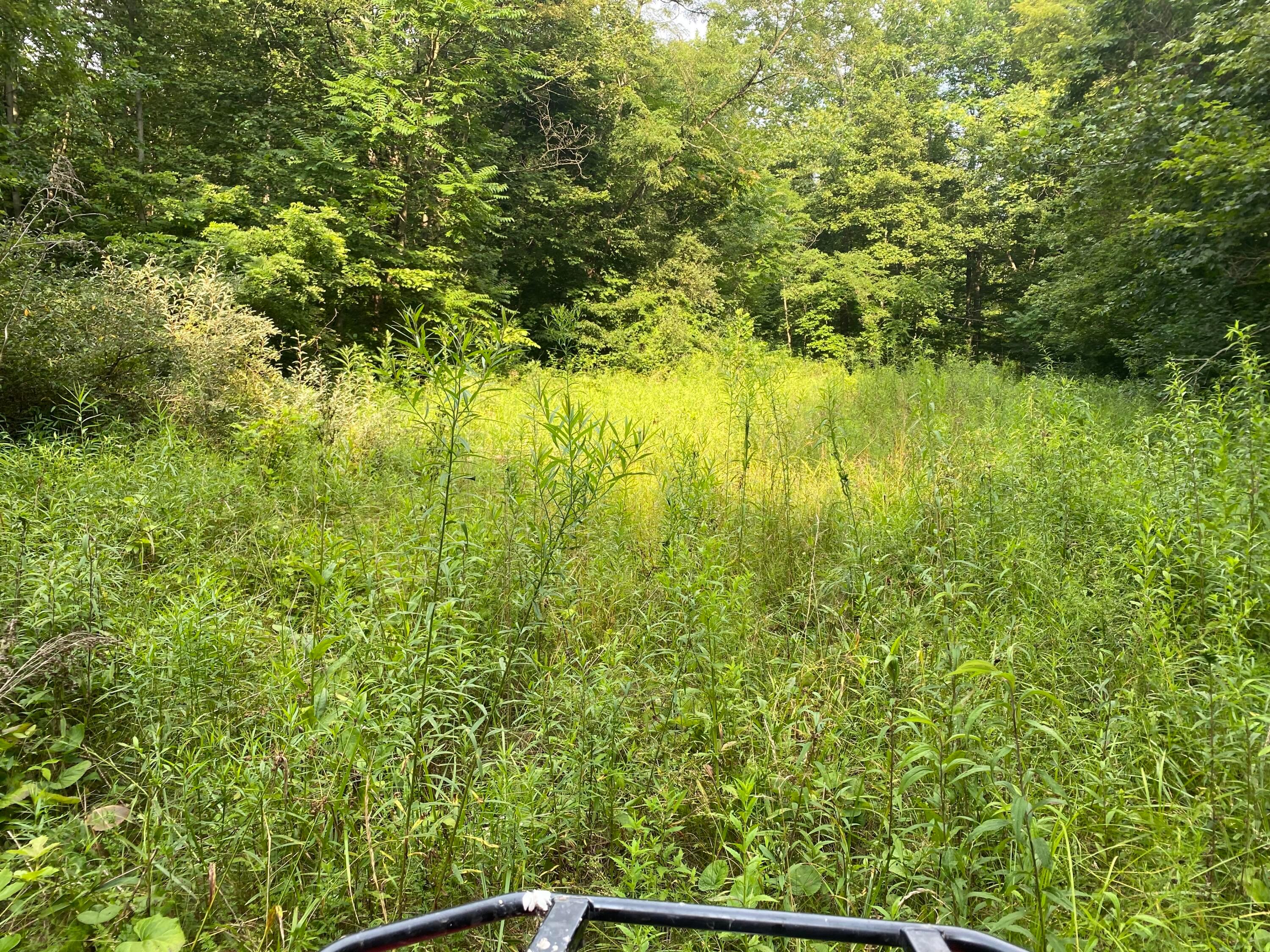 9758 Wesley Chapel Road Mount Perry, OH 43760 - Photo 35 of 43 Land and trees