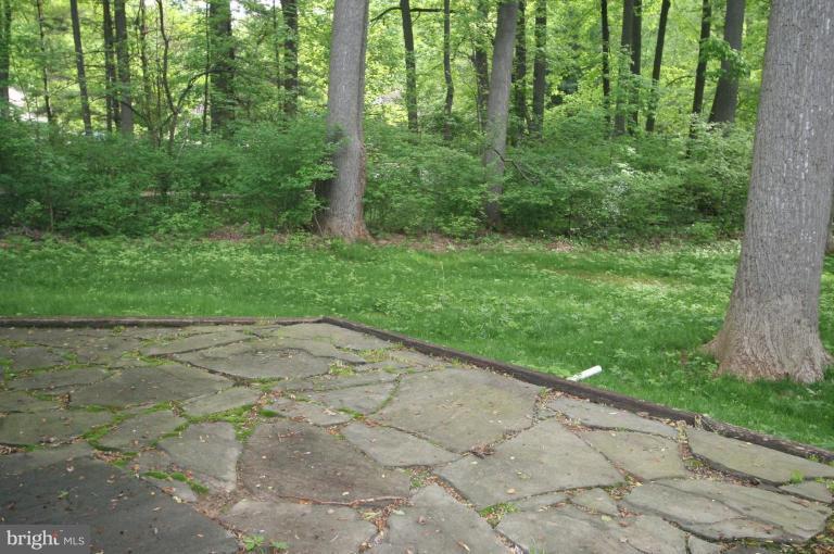 9504 Sweet Grass Ridge Columbia, MD 21046 - Photo 10 of 24 Back yard