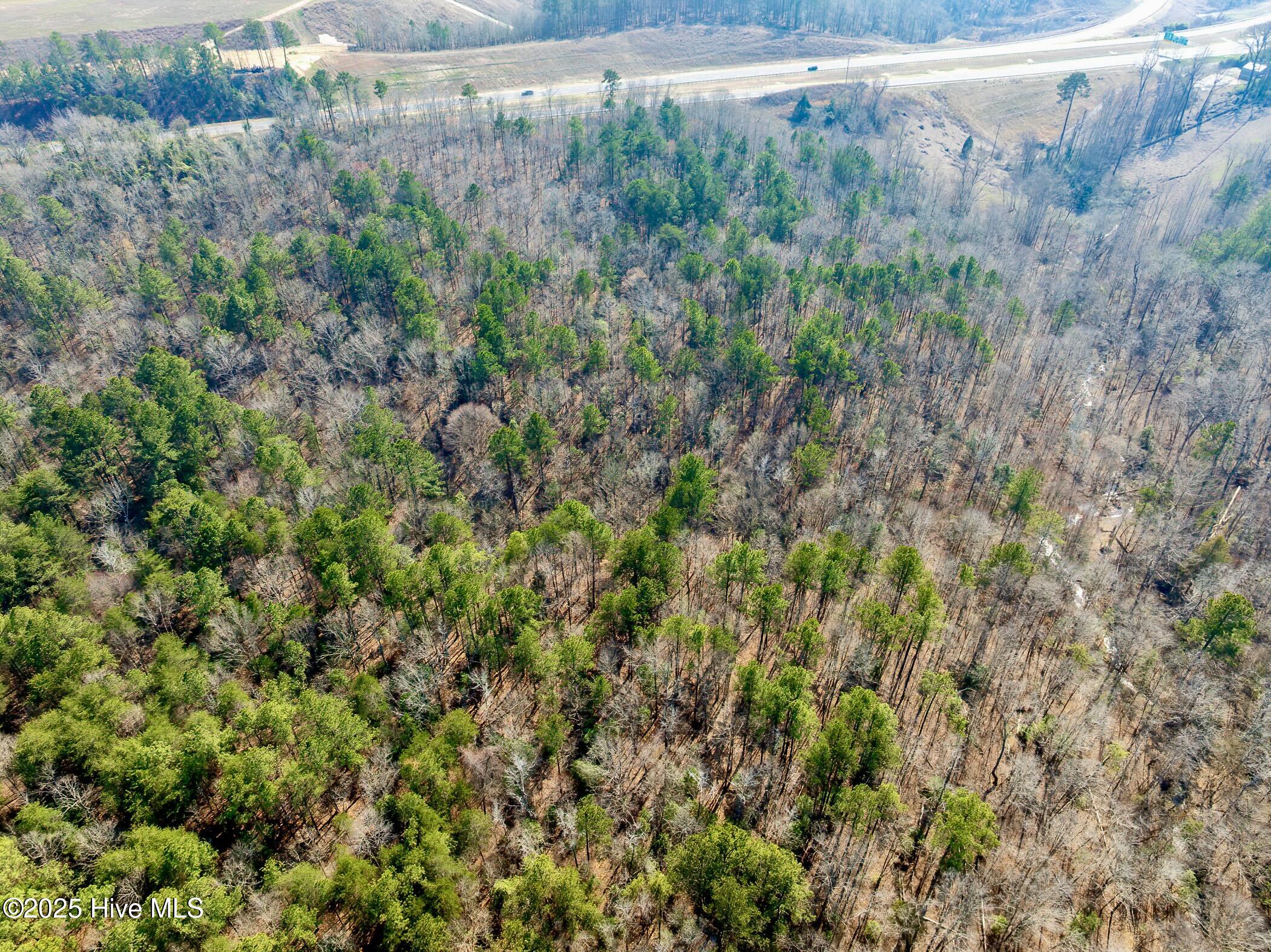 74 West Hwy Rockingham Nc 28379 Highway Rockingham, NC 28379 - Photo 16 of 20 RS 1 DJI_0348-Enhanced-NR