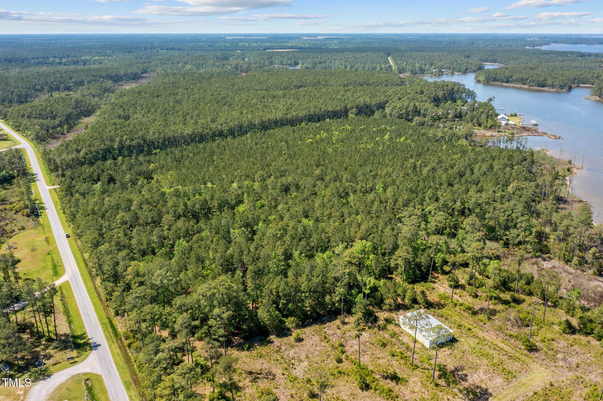 0 Wilkins Road Belhaven, NC 27810 - Photo 9 of 9 a view of a yard with an outdoor space