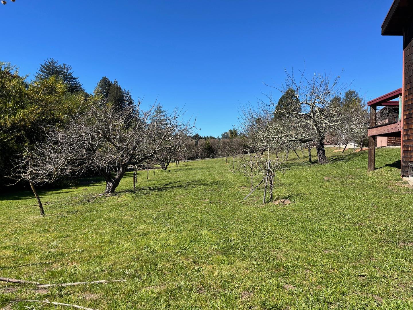 1557 Day Valley Road Aptos, CA 95003 - Photo 40 of 43 a garden with trees in the background