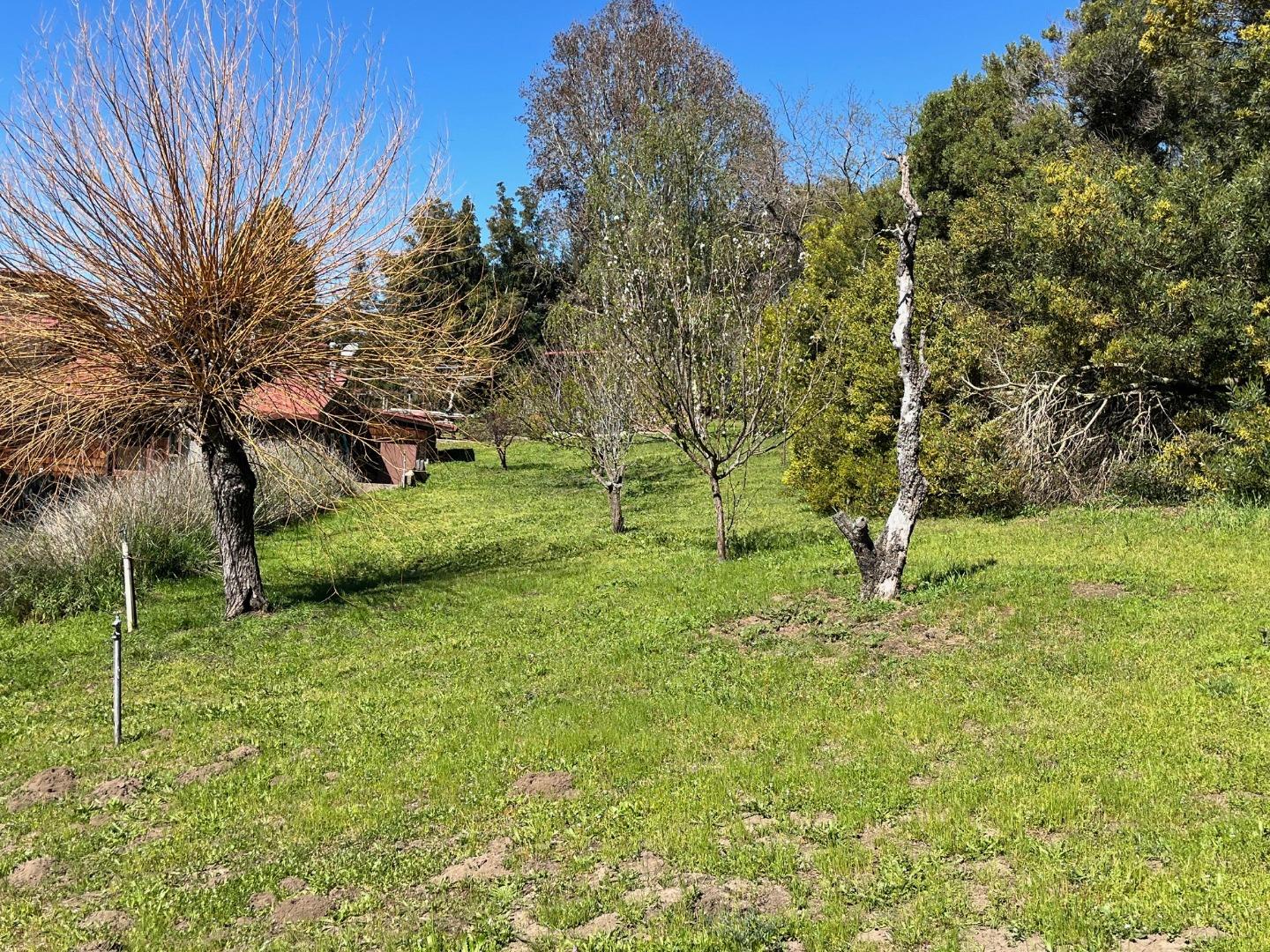 1557 Day Valley Road Aptos, CA 95003 - Photo 41 of 43 a backyard of a house with lots of green space