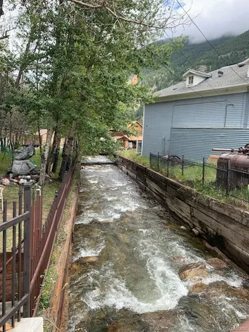 a view of a dry yard with lots of trees