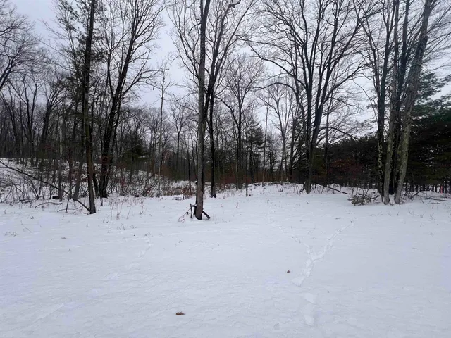 $19,900 | Rhett Lane, Unit 2, Wausaukee, WI 54177